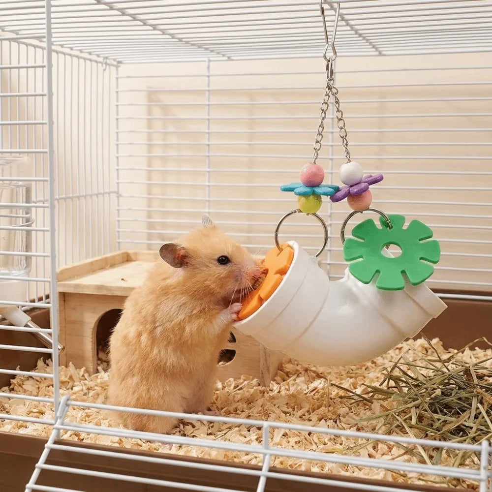 Creative Colorful Hamster Foraging Pipeline Plastic Bite Resistant Pet Bird Toys Hidden Snack Games Parrot Hanging Toys Training Vue
