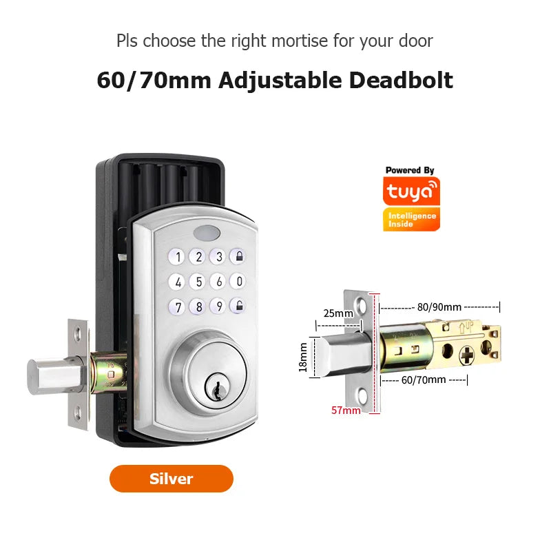 US Deadbolt Smart Lock remote controller Password/IC Card biometric lock Electronic Auto Lock For Home smart lock door Vue TY-S China Mainland
