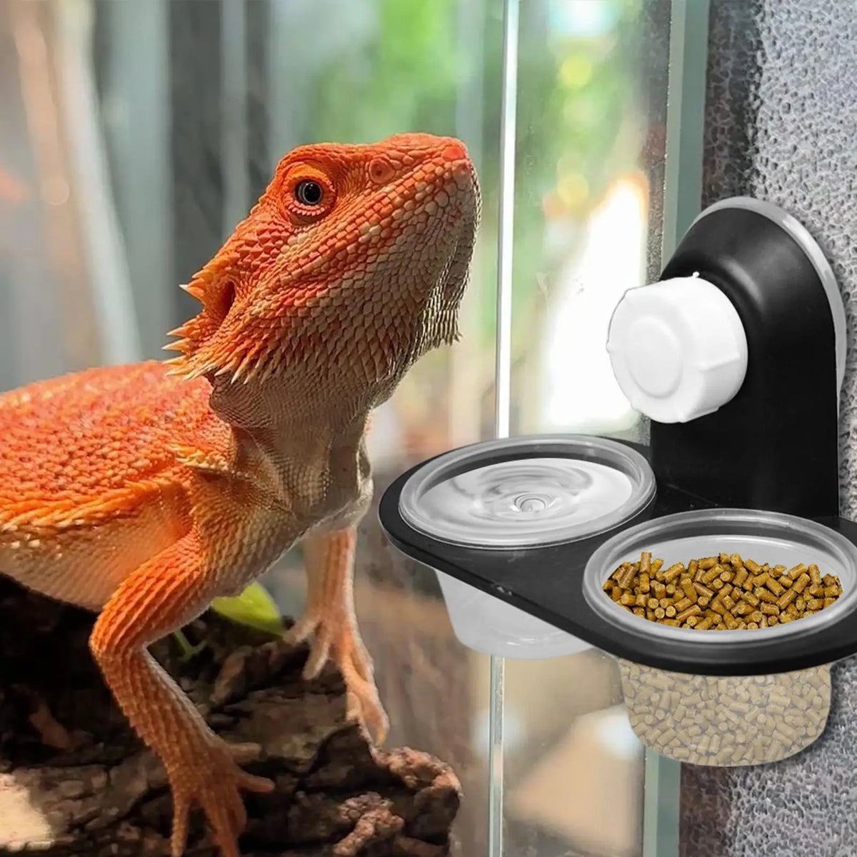 feeding table Reptile Food & Water Dish, Gecko Feeding Tray with Ledge, Small Pet Feeder for Frog Lizard Chameleon Hermit Crab Vue