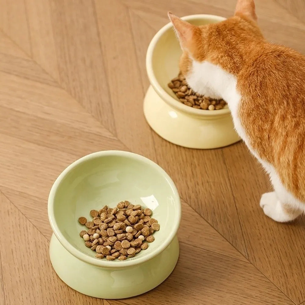 Large Diameter Ceramic Elevated Cat Bowl Anti Overturning Flat Bottomed Cat Food Water Bowl Non-slip Tilted Angle Pet Food Dish Vue