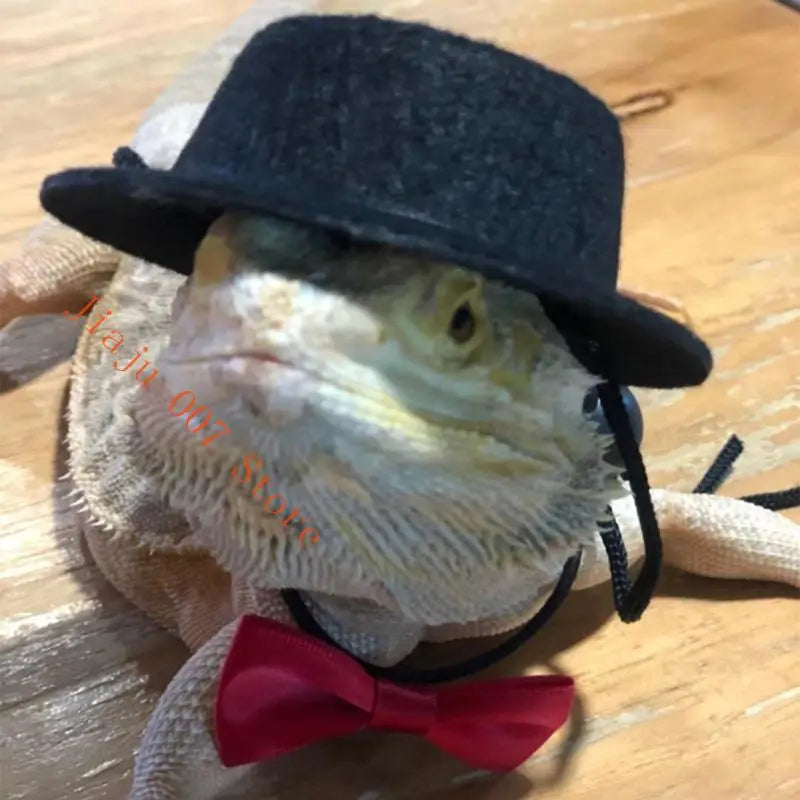 Bearded Dragon Harness Leash & Costume Set – Hat & Bow Tie Reptile Costume Set Vue
