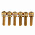 Alloy M5 x 18mm Screw With Washers Set For MTB Stem Stem Stem Screw Vue Gold