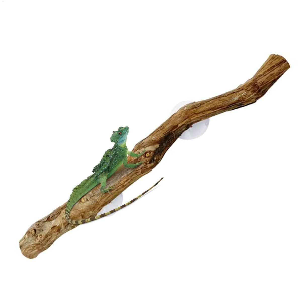Snake Climbing Branch Unique Snake Climbing Decor Natural Non-slip Habitat Decorations Reptile Decor for Bearded Dragon Snake Vue Default Title
