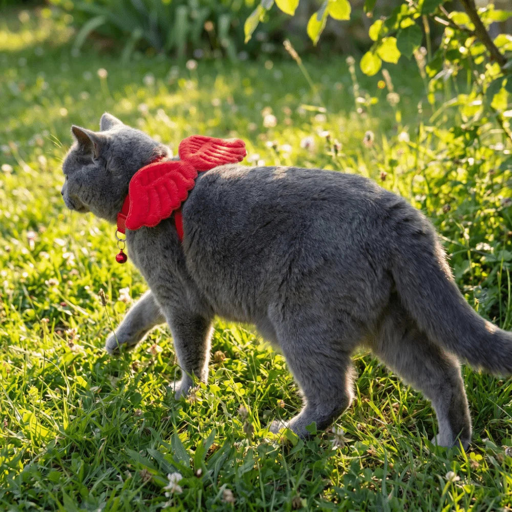 Decorative Adjustable Wings Cat Collar Lightweight Solid Color Pet Collar Soft Not Tight Nor Loose Pet Dressing Party Vue