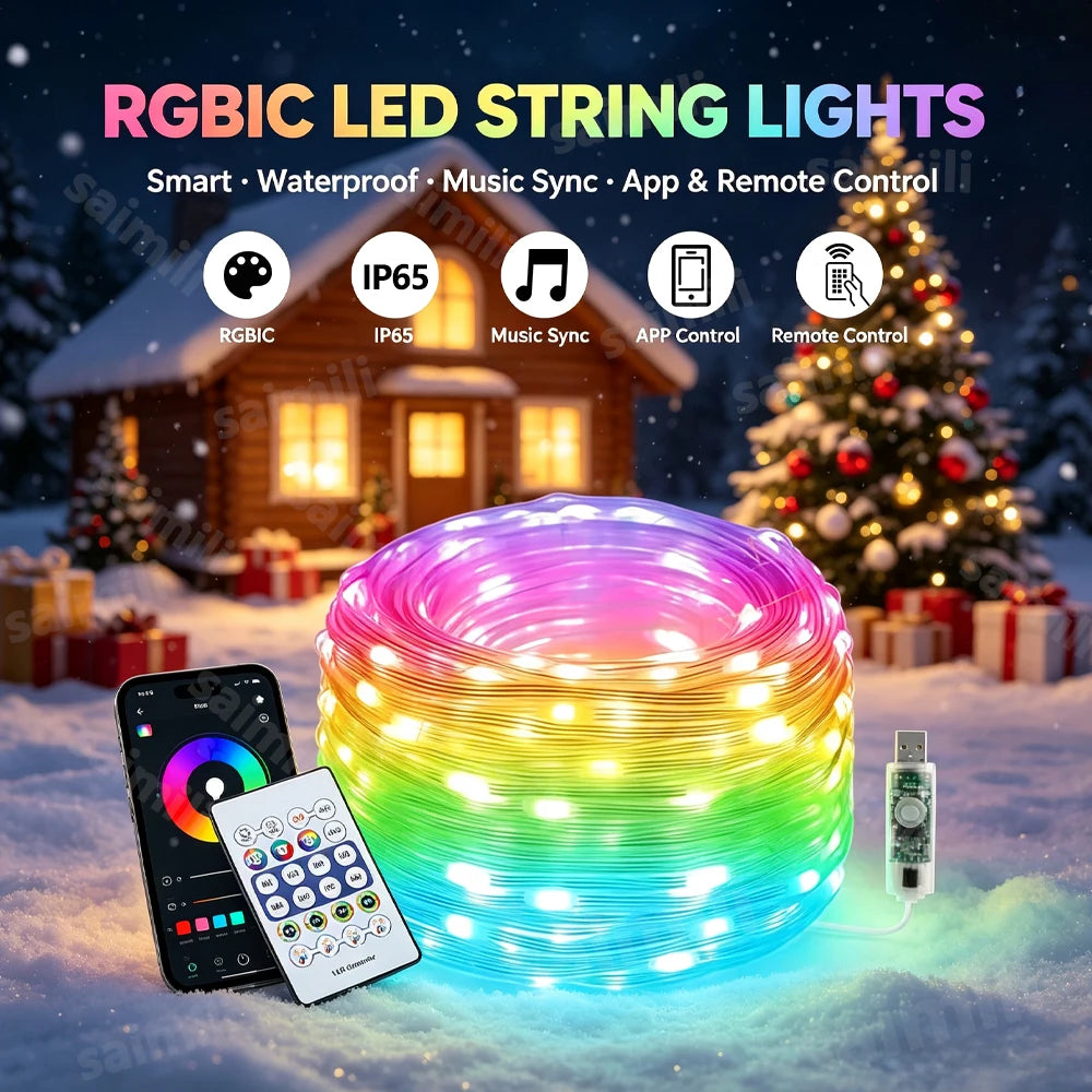 RGBIC LED String Light WS2812B USB 5V Bluetooth Music Sync Dream Color Waterproof Lamp For Wedding Holiday Room Atmosphere Decor Vue