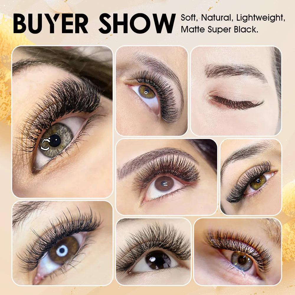 Private Label Masscaku W Style Individual Eyelashes 3D/4D/5D/6D Premade Fans W Shape Clover Bloom Natural Long Lash Extension Vue