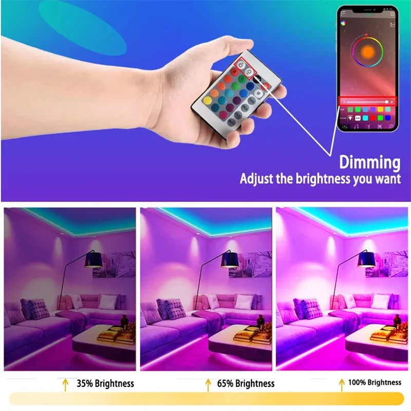 5050 RGB LED Strip Light USB 5V Smart Bluetooth Control IR Remote Flexible Led Tape 30/60 LEDs/M Colorful Ribbon Room Decor Vue