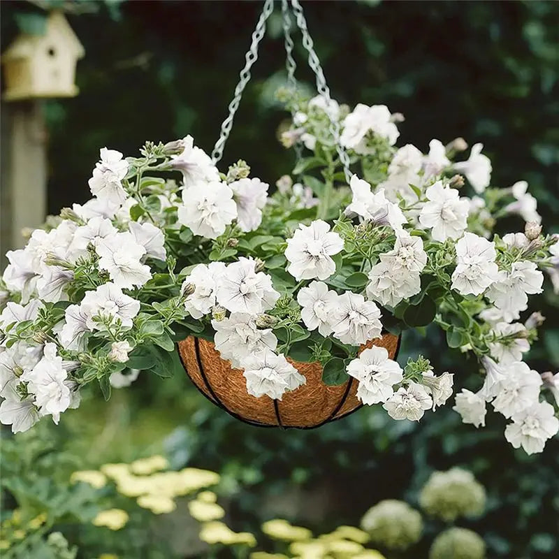 ABKW-3 Pcs Natural Coconut Fiber Basket Coconut Replacement Liner For Hanging Baskets Planters Flowers Vue