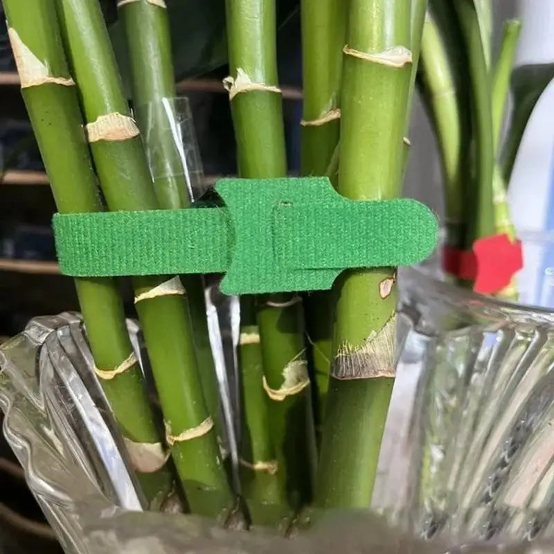 Adjustable Plant Ties 50 100 200pcs Nylon Reusable Non Slip Hook for Balcony Garden Flower Stalk Binding Vue
