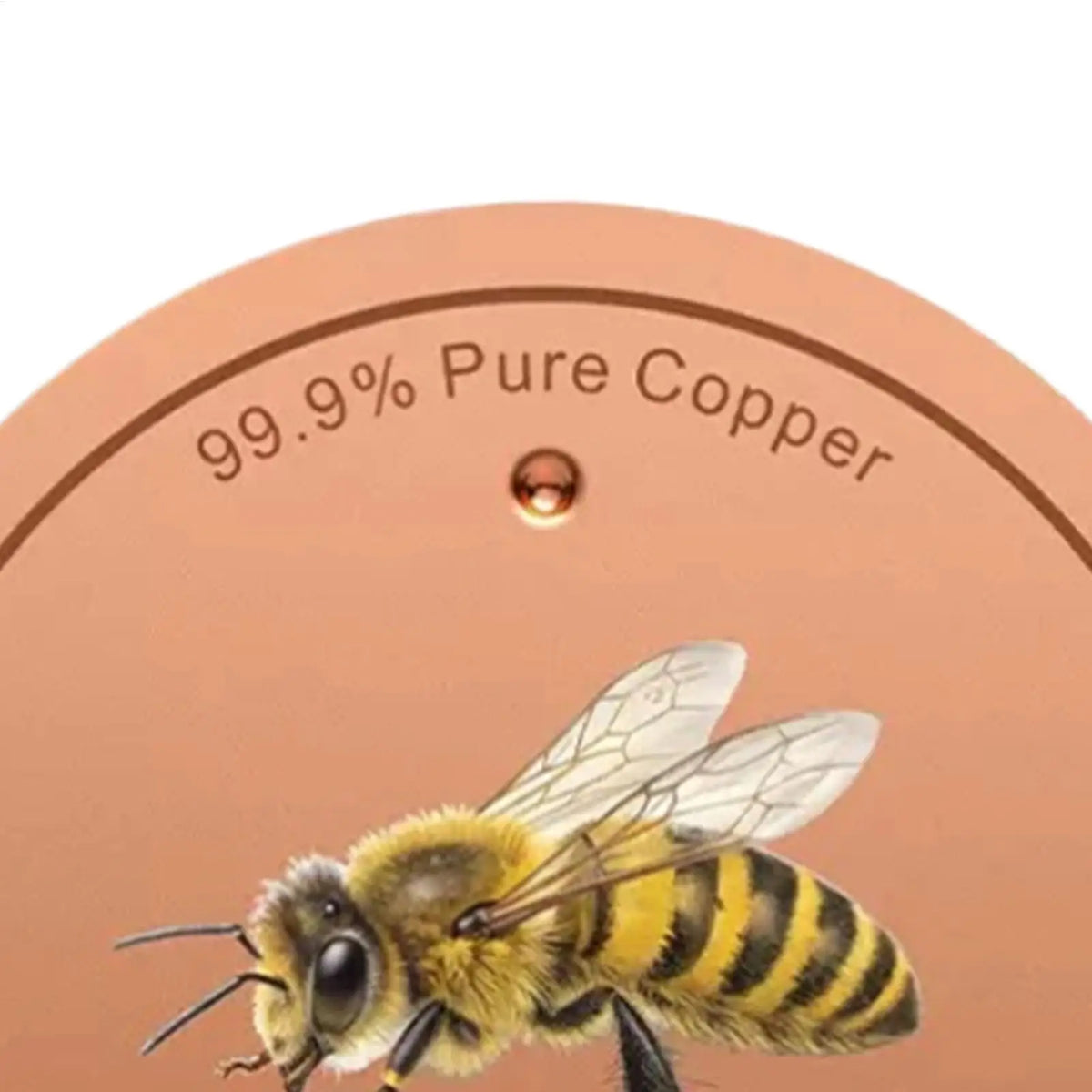 Metal Disc for Bird Bath Bee Pattern Filtration Ornaments Bird Bath Metal Purification Disk for Outdoor Garden Deck Patio Bowl Vue