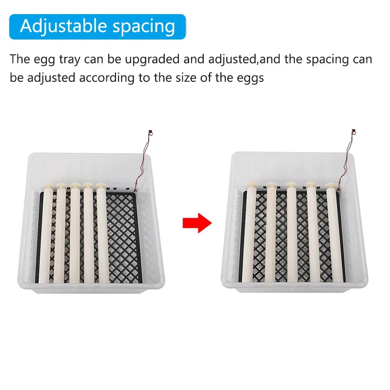 16 Eggs Dual-Electric Fully Automatic Turning Egg Incubator Household Farm Poultry Hatching Tool Chicken Ducks Birds Brooder Vue