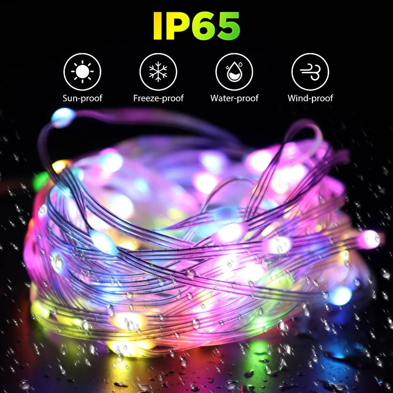 5/10/20M RGBIC USB LED Sting Light Bluetooth Music APP Programmable DIY Fairy Lights Birthday Party Garland Christmas Decor Vue