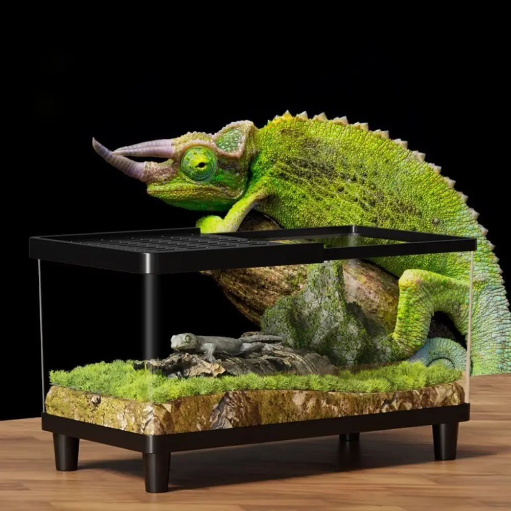 Multifunctional Transparent Reptile Terrarium Visual Breathable Lizard Breeding Box with Cover Reptile Habitat Amphibians Vue