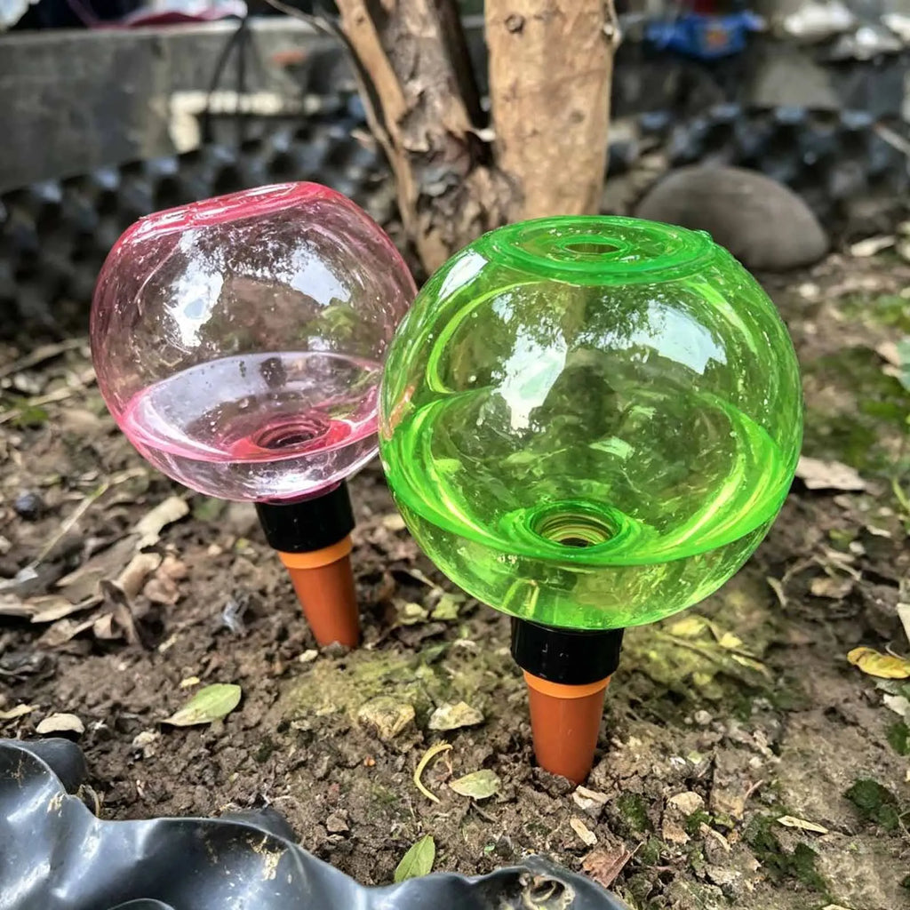 Automatic Self-Watering Globes 500ml Drip Irrigation – 1–4 Pack Self-Watering Globe Vue