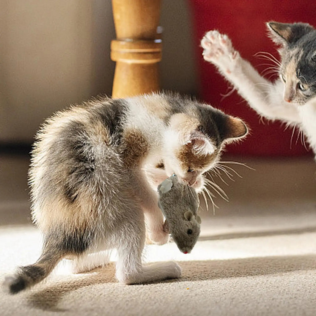 ABS Moving Mouse Cat Toy Moving Plush Cat Toys In Mouse Shape Interactive Decorative Cat Chasing Toys Funny Kitten Stuffed Toy Vue