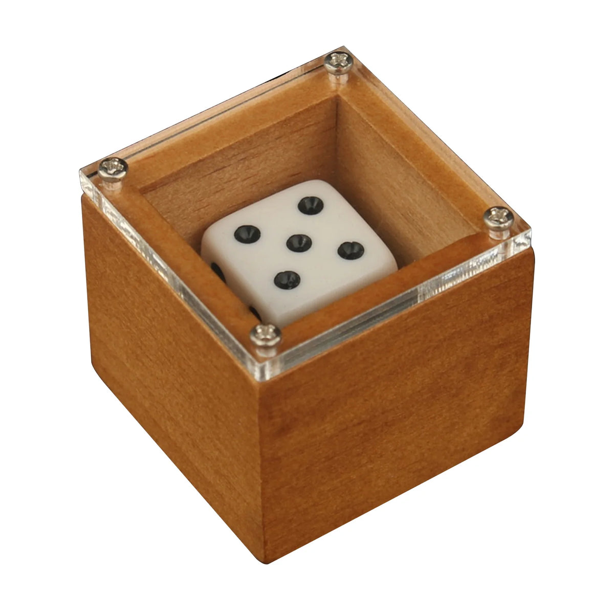 Magic Dice Magic Props Dice Trick Dot Number Change Dice Magic Stage Illusion Props Toys For Kids Adults Vue