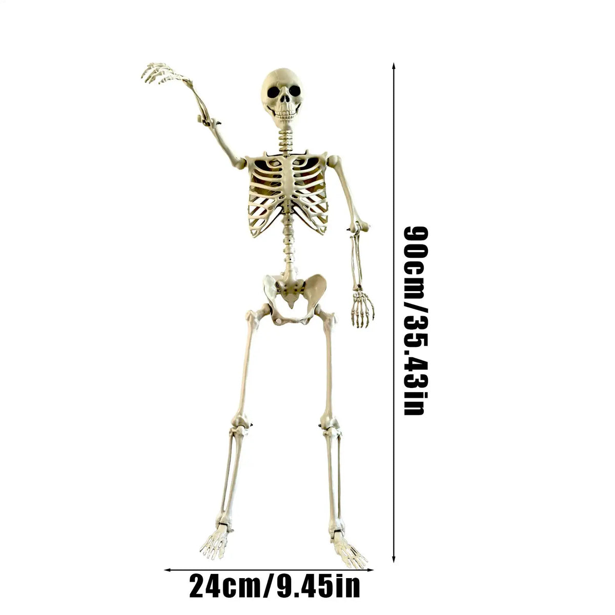 Halloween Realistic Body Bones with Posable Joints Simulation Skull Ornament Haunted House Horror Props Garden Decor Decorative Vue