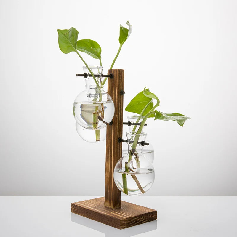Hydroponic Plant Glass Vase, Modern Desktop Plant Terrarium Planter Bulb Water Planting Propagation Planters Hydroponics Plants Vue