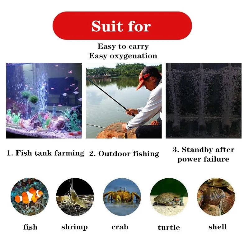 Mini Aquarium USB Oxygen Pump Oxygenator Silent Energy Saving Air Compressor With Bubble Stone Fish Tank Accessories acuario Vue