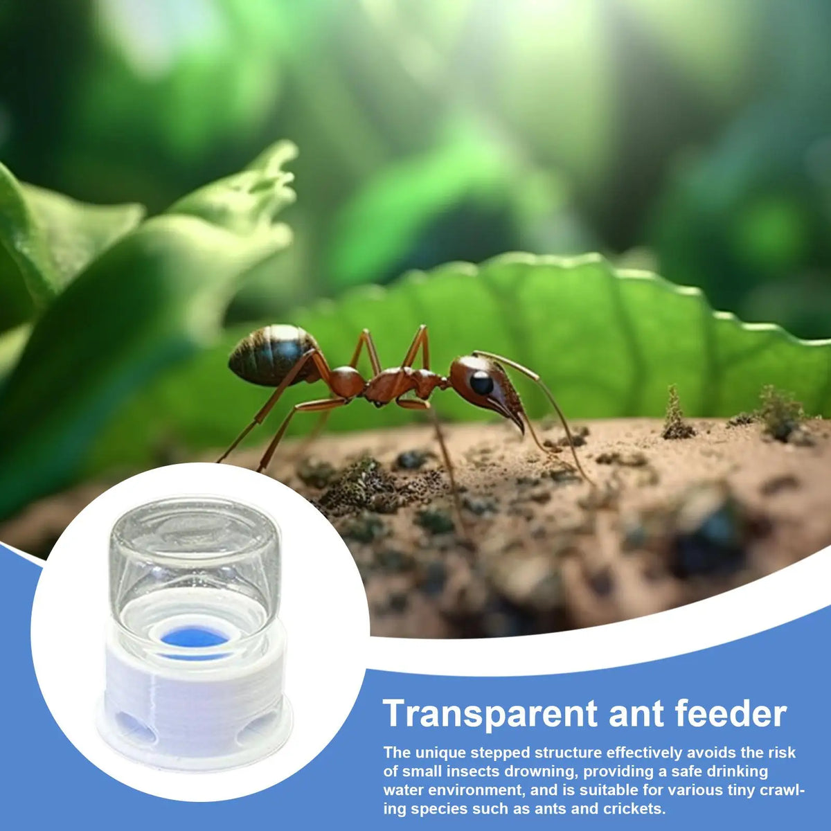 12ml Transparent Ant Water Feeder Anti Drowning Drinking Station for Bee Cricket Home Classroom Outdoor Bug Waterer Vue