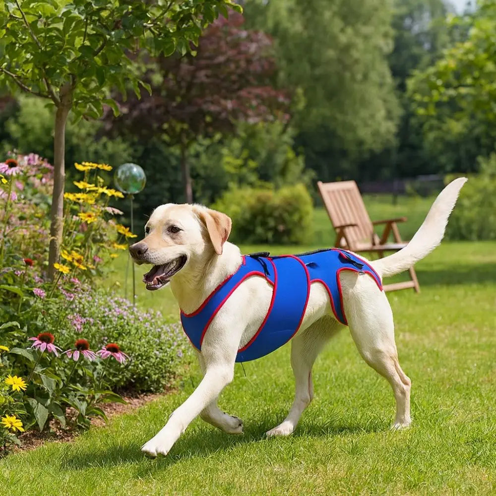 Adjustable Dog Back Brace Breathable Comfortable Pet Support Harness Back Protector Thickened Dog Soothing Clothes Vue