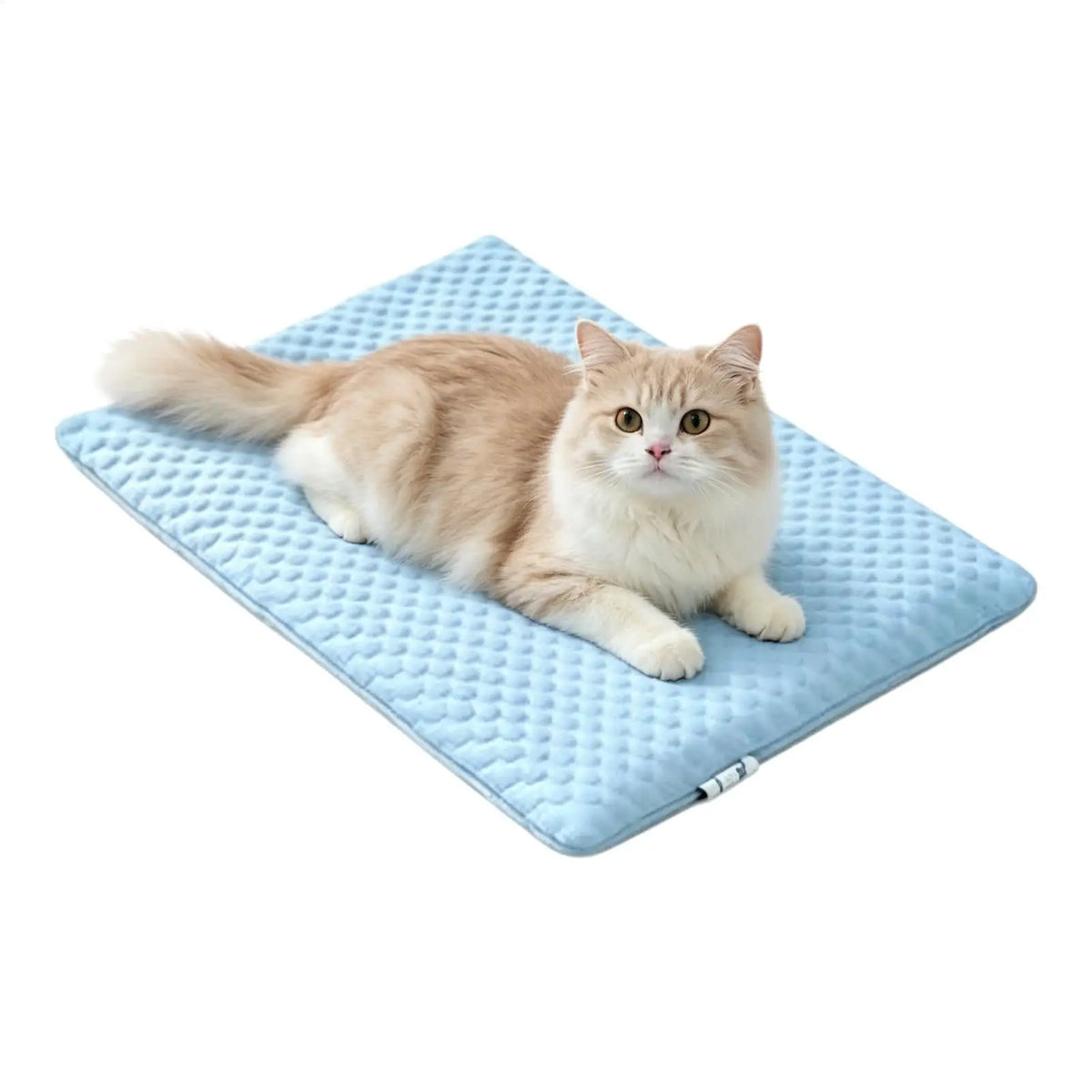 S/M/L Comfortable Cat Cooling Mat for Hot Summer, Portable Pet Bed Pad for Sleeping Resting, Indoor Outdoor Travel Camping Use Vue