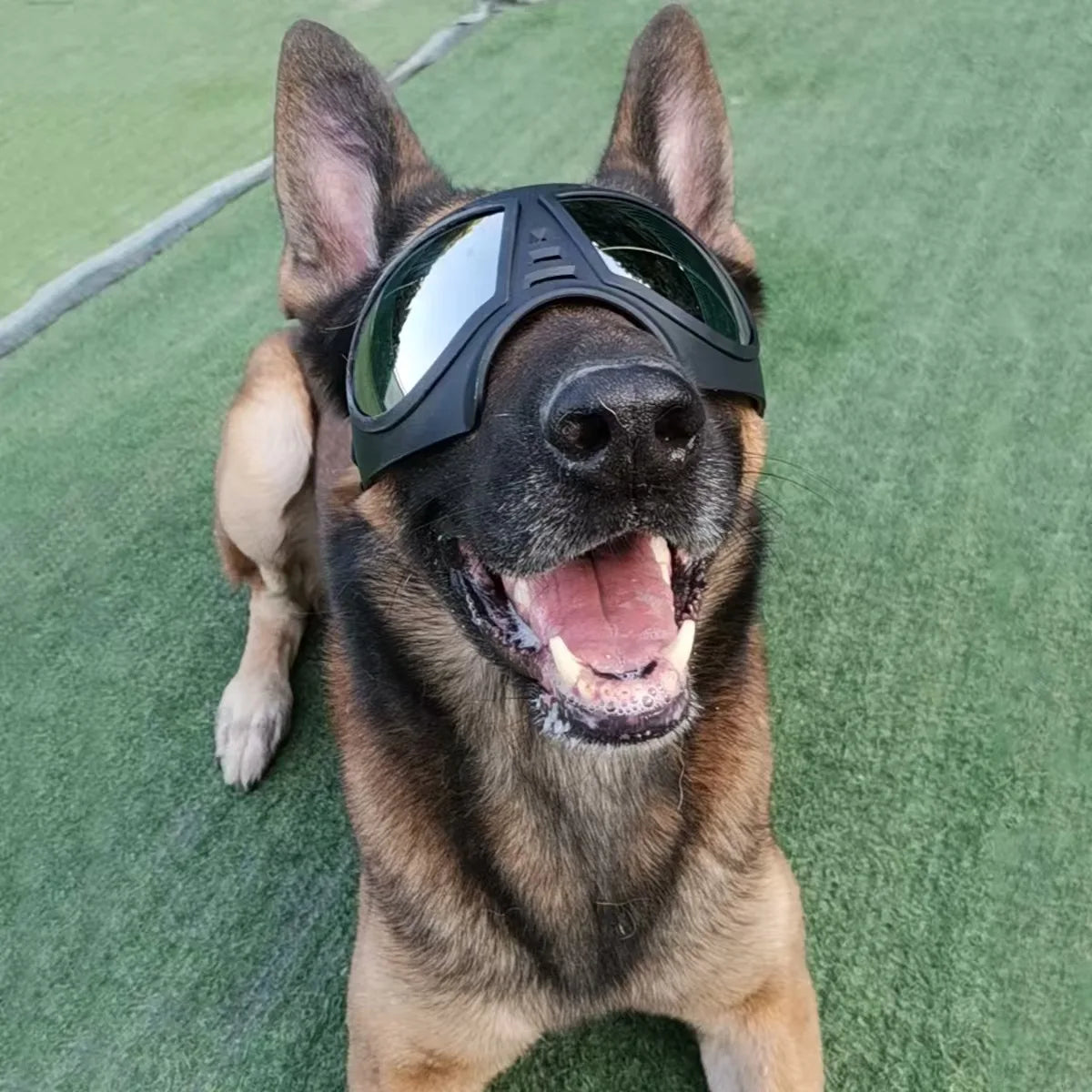 Pet Dog Goggles Sunglasses Anti-UV Sun Glasses Eye Wear Protection Waterproof Windproof Large Dog Sunglasses Pet Dog Supplies Vue
