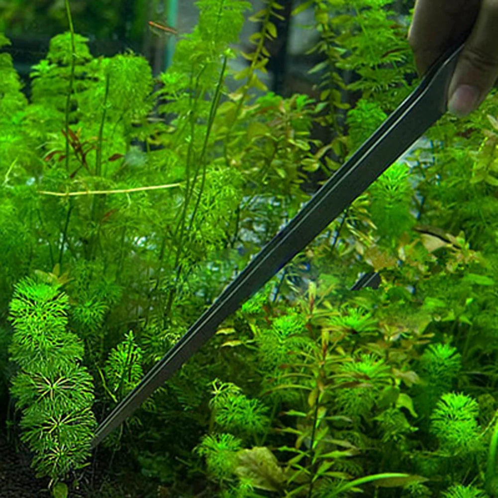 10.5" Stainless Steel Aquarium Tweezers – Straight & Curved Aquarium Tweezers Vue B China Mainland