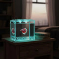 Fish Tank Mini Acrylic Aquarium Stackable Pet Box for Reptile Home Decor Suitable for Small Fish Shrimp Breeding Vue Default Title