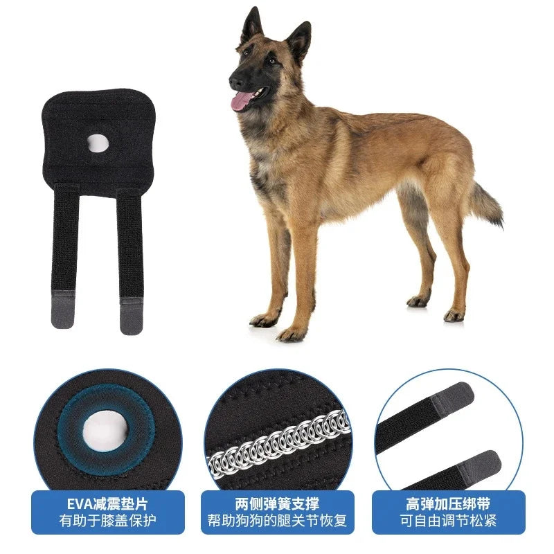 Pet Dog Knee Brace Patella Support Leg Wrap Joint Guard Adjustable Breathable For Dogs And Cats Rehab After Surgery Recovery Vue