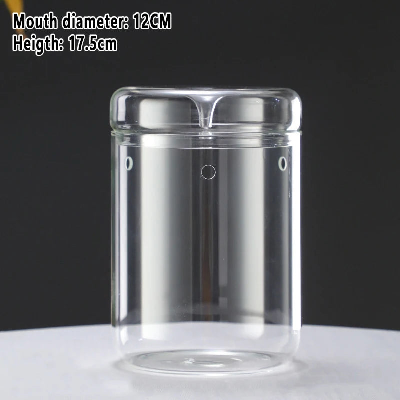 Multi-size Glass Bottle Creativity Dew Collection Glass Vase Micro Landscape Succulent Moss Landscape Glass Terrarium Home Decor Vue Style-02
