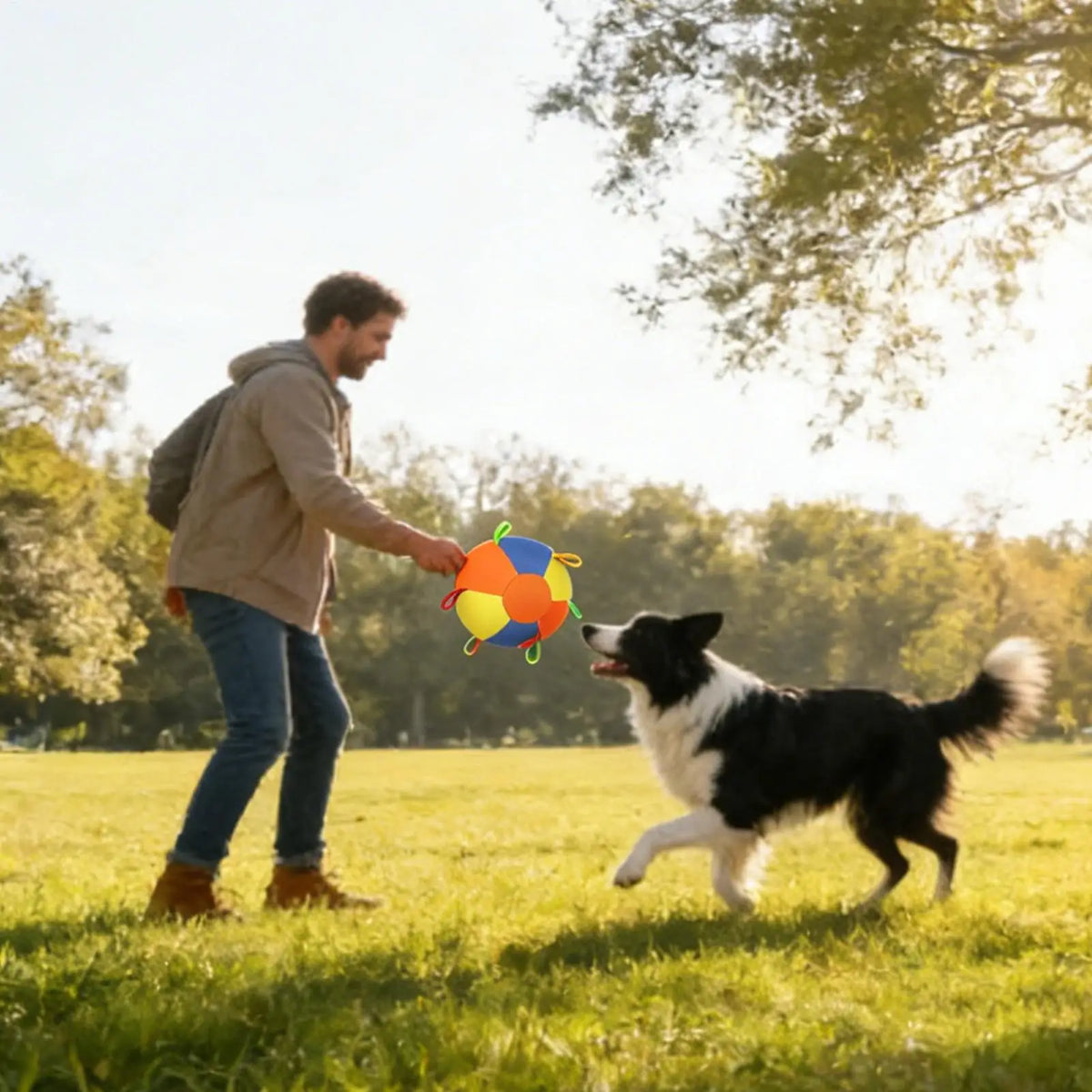 25/45/55CM Inflatable Herding Ball for Dogs with Handle, Calming Puppy Toy for Outdoor Yard Small Dog Water Play & Exercise Pool Vue
