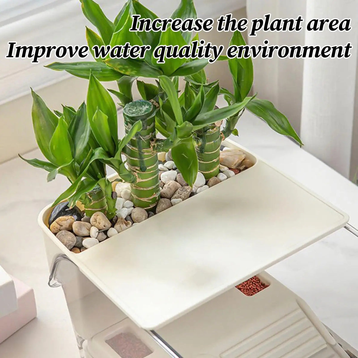 Turtle Aquarium Multi-functional Aquarium Transparent Terrarium for Crayfish Hermit Crabs Frog Reptile Tortoise Habitat Basking Vue