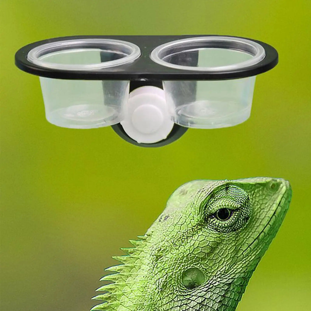 feeding table Reptile Food & Water Dish, Gecko Feeding Tray with Ledge, Small Pet Feeder for Frog Lizard Chameleon Hermit Crab Vue