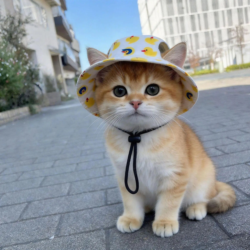 Wide Brim Pet Sun Hat with Ear Holes, Adjustable Bucket Hat for Dog Cat, UV Protection Visor for Small Medium Large, Beach Walk Vue