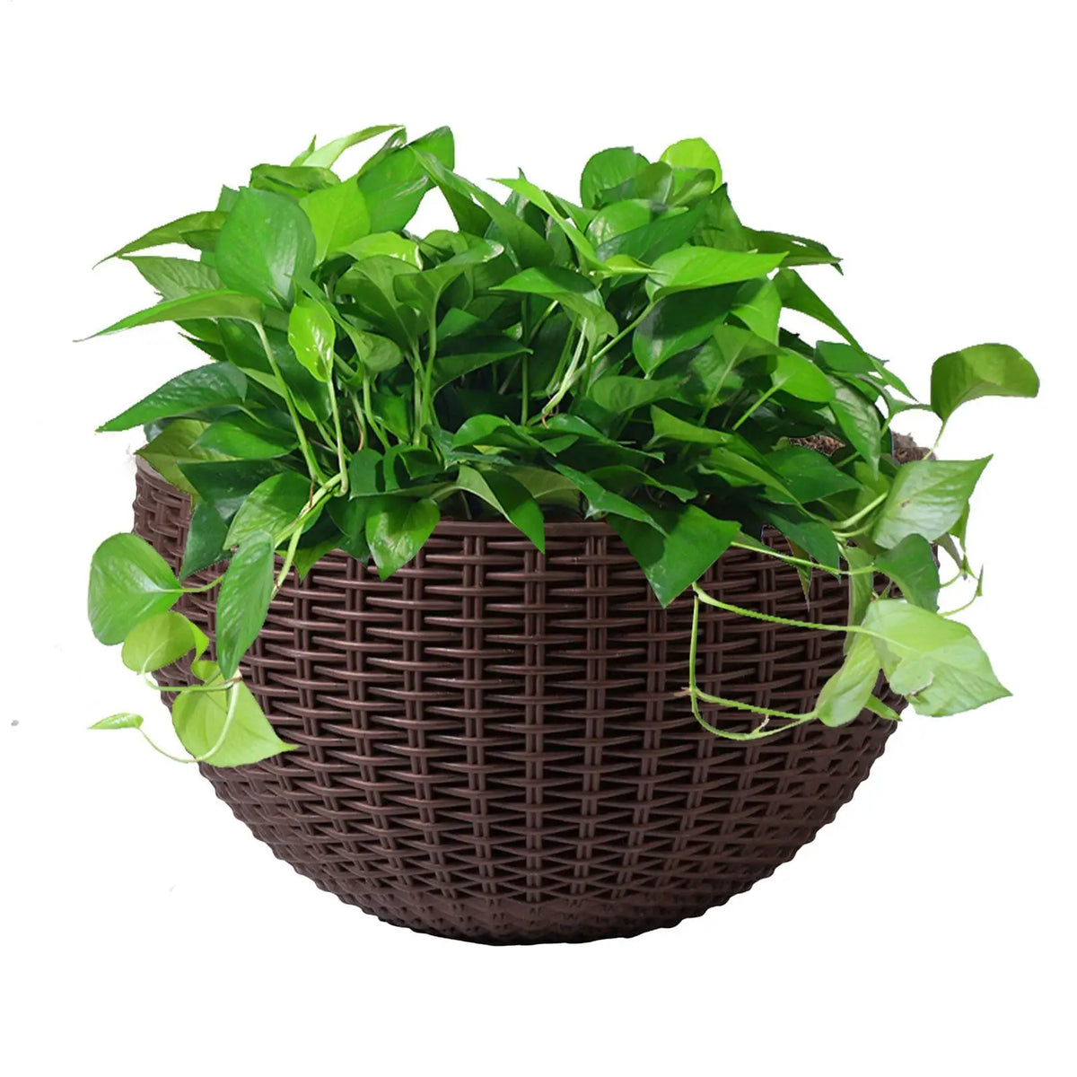 European Style Imitation Rattan Wall Planter Semicircle Hanging Flower Pot Wall Decoration for Balcony Fence Home Garden Decor Vue