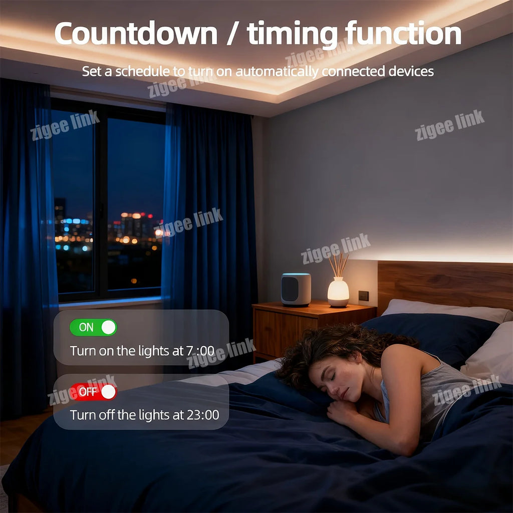WiFi Zigbee3.0 Dual Mode Mini Smart Switch 2-Way Control Timer Relay Module DIY Light Interruptor Support Alexa Google Alice Vue