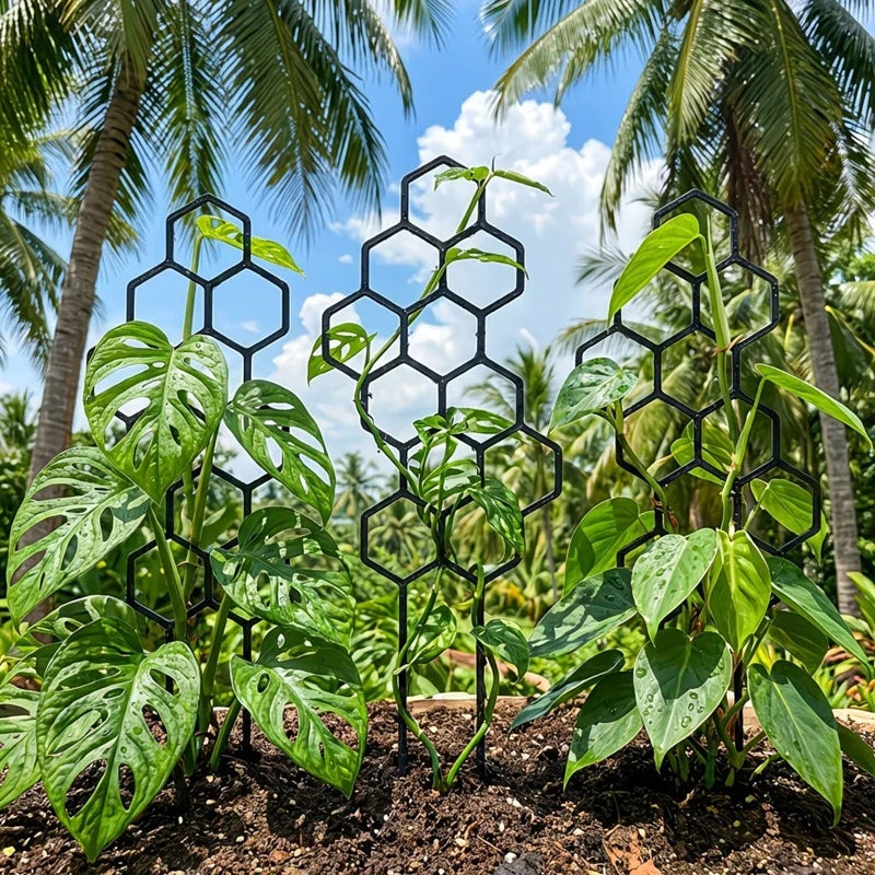 Honeycomb Plant Trellis – Climbing Support Stake for Monstera Plant Support Trellis Vue