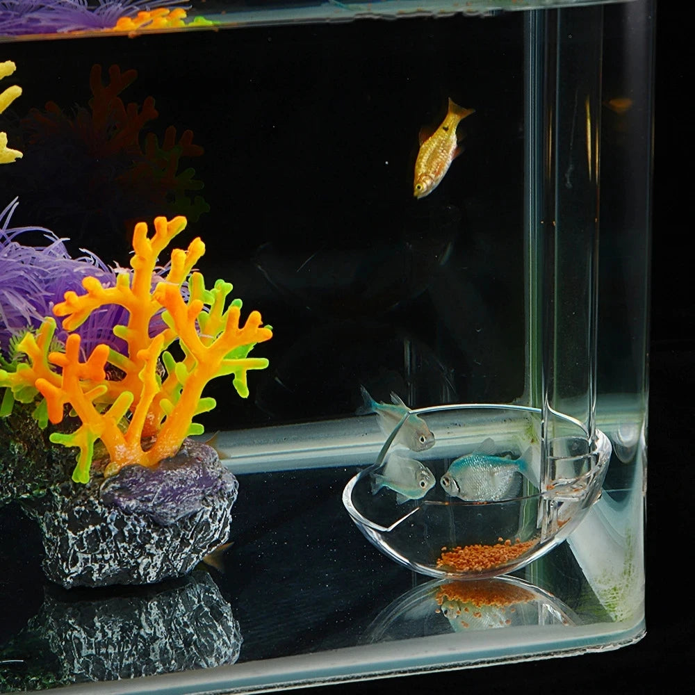 Acrylic Feeder Tube Dish Transparent Fish Tank Shrimp Snail Food Feeder Bowl Feeding Aquarium Accessories Shrimp Feeders Vue