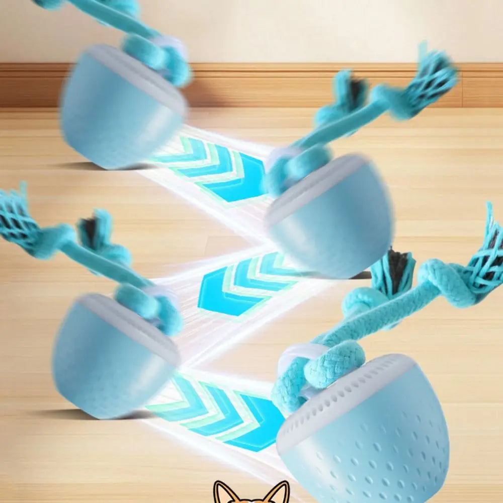Bite Resistant Smart Pet Ball USB Charging Random Path Automatic Moving Ball with Rope Electronic Active Rolling Ball Vue
