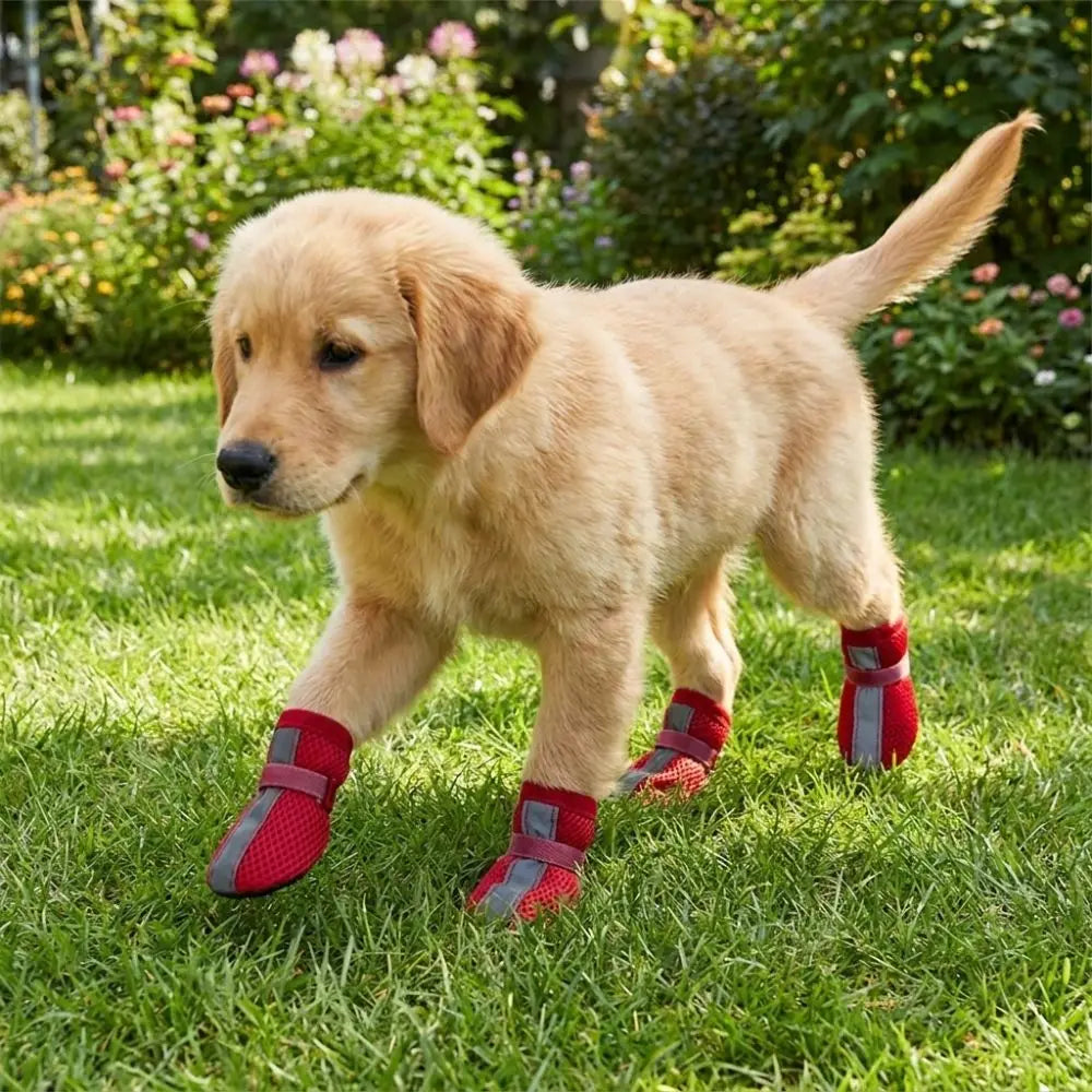 4PCS/SET Non-slip Mesh Dog Shoes Breathable Wear-resistant Pet Booties Reflective Stripe Hook-and-loop Strap Pet Paw Protector Vue
