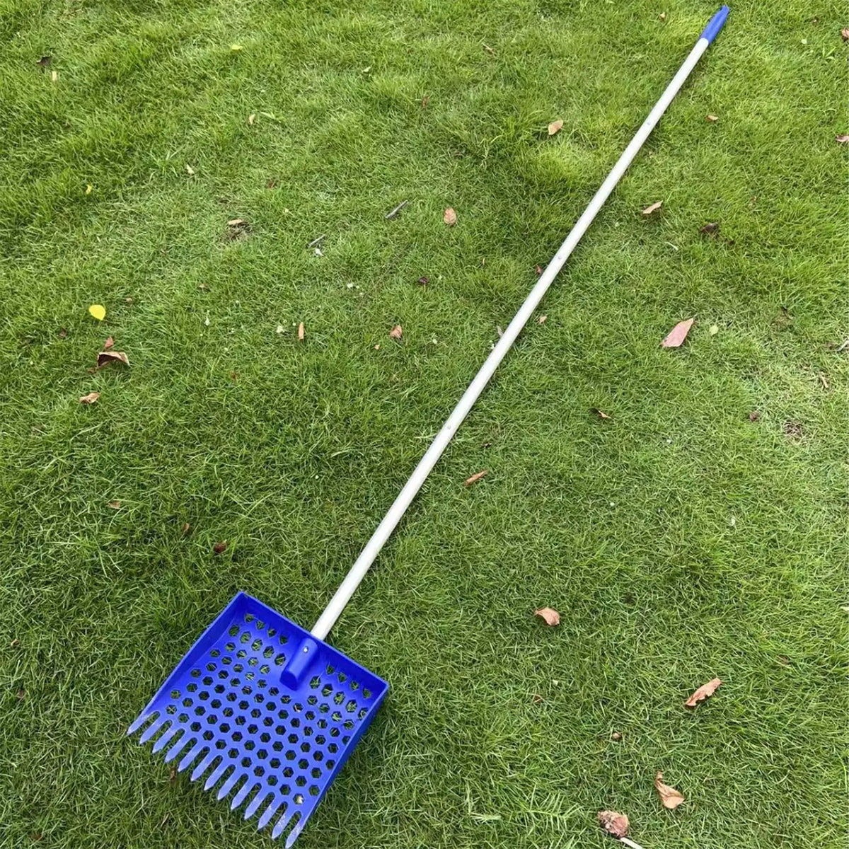 Chicken Poop Scooper for Sand Chicken Coop Rake and Scoop Tool Long Handle Detachable Shovel Retractable Cat Litter Scoop Vue