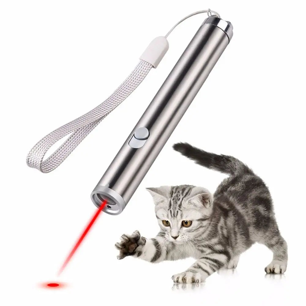 Cats 2 In 1 Training Tools Funny Interactive LED Light Cat Play Chaser Pointer Vue