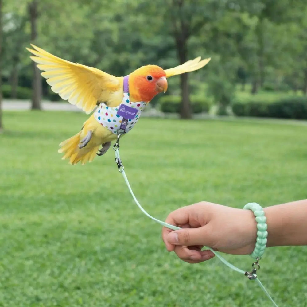 Escape Proof Parrot Flying Harness Polka Dot Print Anti-Bite Bird Harness Leash Breathable Bird Outgoing Leash Avian Vet Visits Vue