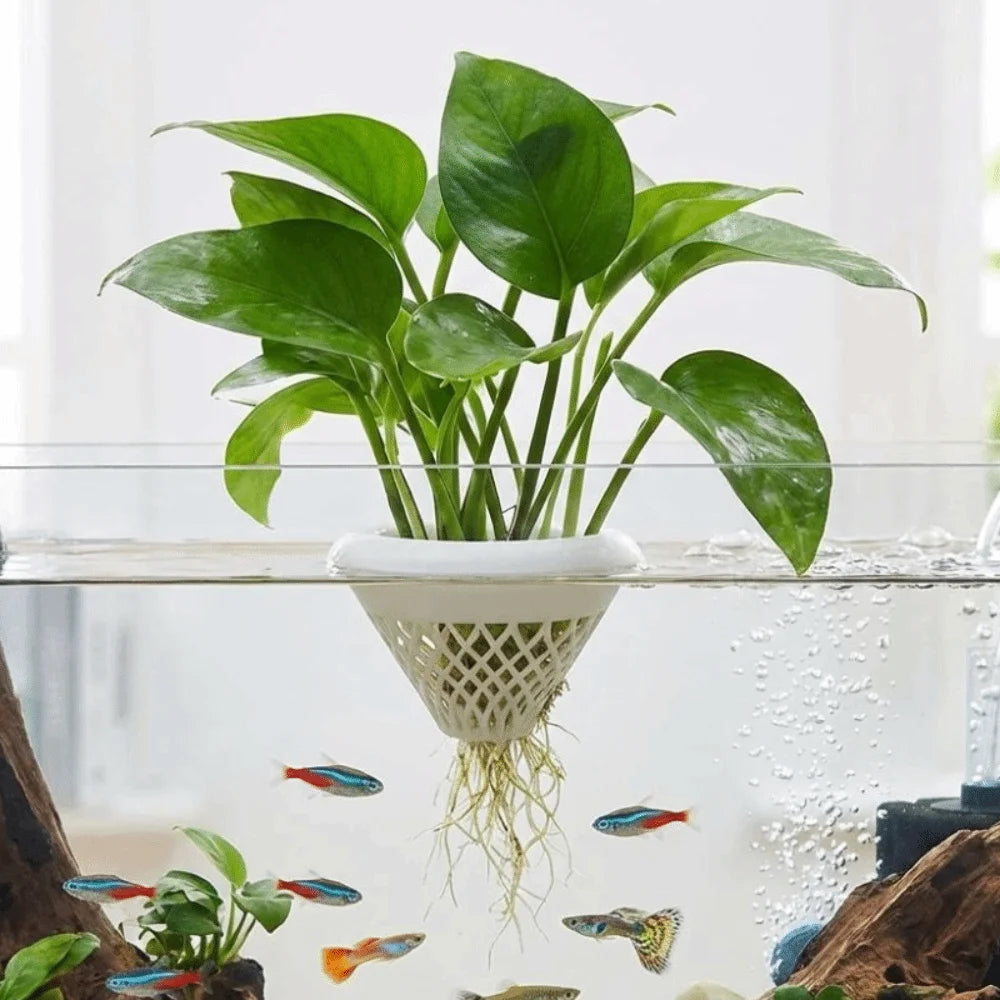3D Printed Floating Aquarium Planting Basket Plastic Decorative Hydroponic Plant Basket Growing Pots Vue