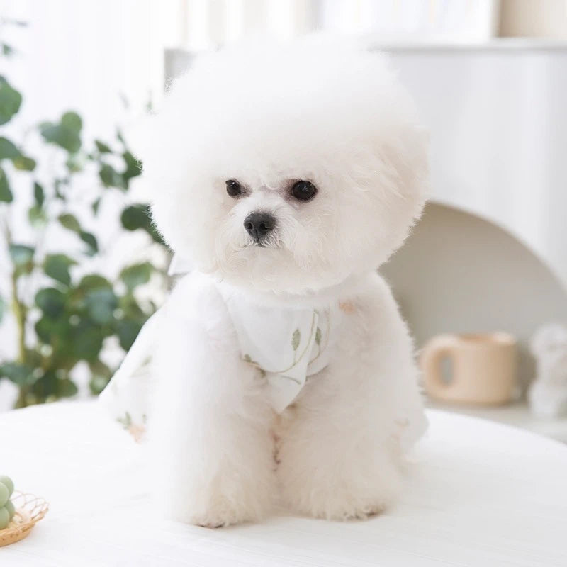 Dog Dress Lace Floral Double Layer Princess Summer Outfit For Small To Medium Dogs Party Photo Prop Birthday Gift Elegant Vue