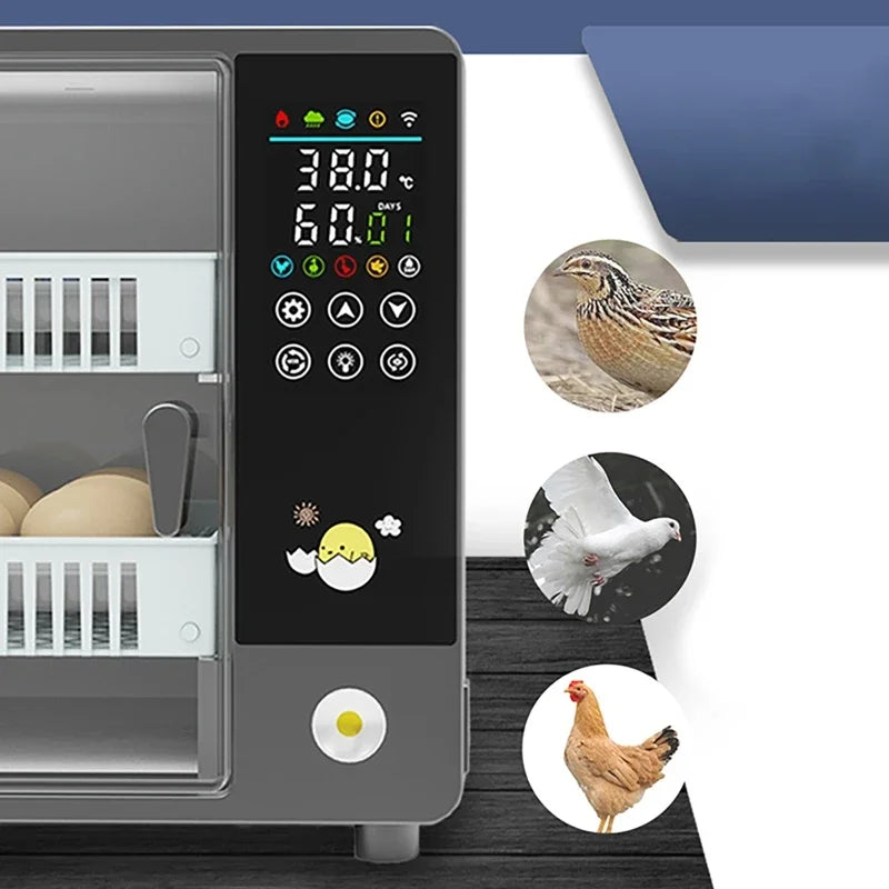 24-Egg Automatic Incubator for Chicken Quail & Bird Hatching Egg Incubator Vue