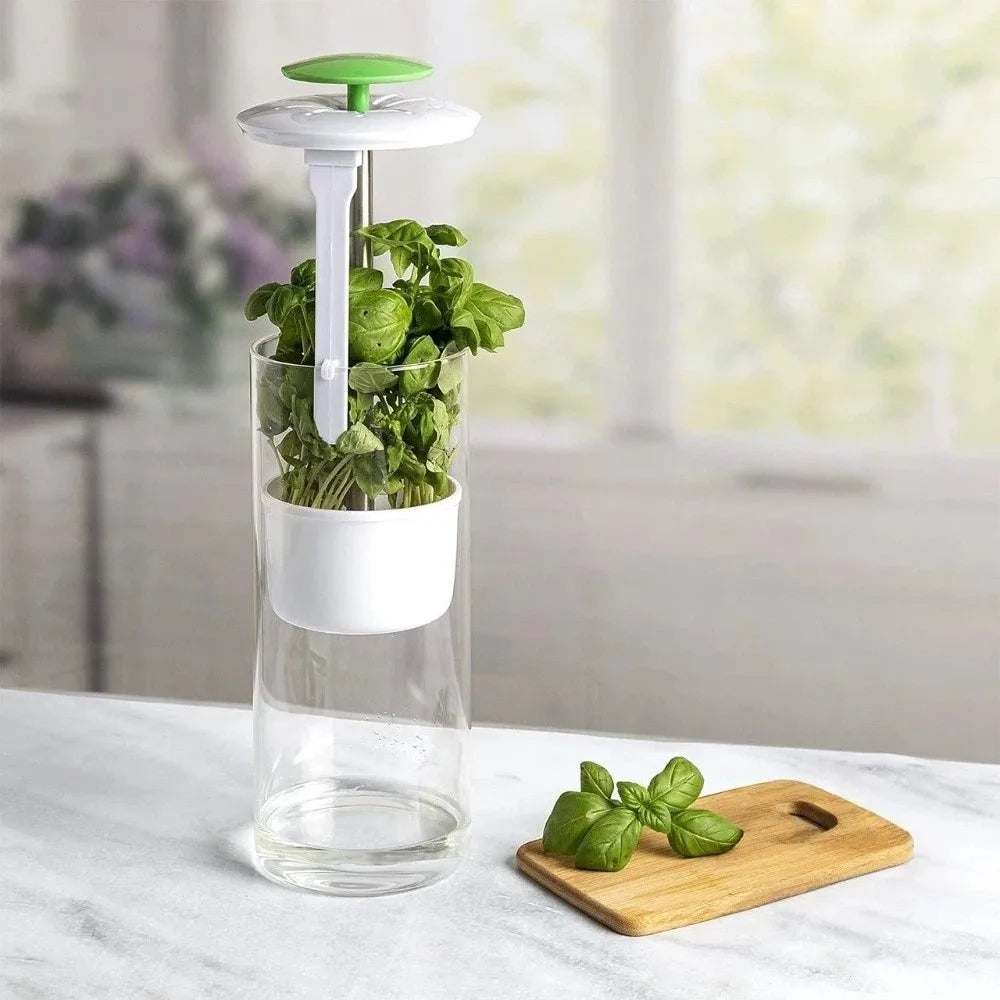 Transparent Longer Fresh Herb Keeper Dust-proof Water Plantin Herb Saver Anti-pressure Environmental Vue