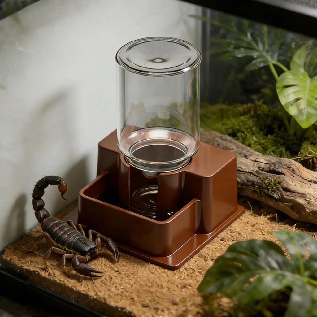 Automatic Gravity Water Dispenser Reptile Feeder Detachable Bowl for Lizard Snake Tortoise Chameleon Gecko No Electricity Vue