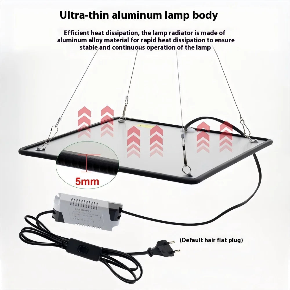 Full Spectrum LED Grow Light 1200W Growing Lamp for Indoor Veg and Bloom Phytolamp Greenhouse Flower Succulent Vue